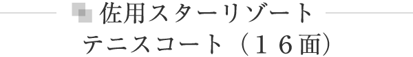 佐用スターリゾート　テニスコート